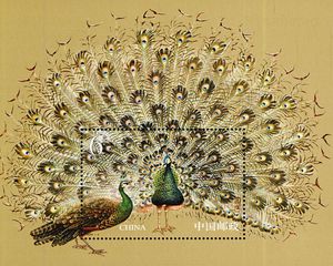 Green Peafowl (Pavo muticus)