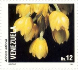 Stamp: Acineta alticola (Venezuela(Orchids 1991) Mi:VE 2668,Sn:VE 1447a ...