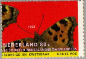 Large Tortoiseshell (Nymphalis polychloros)