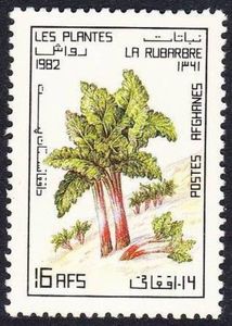 Rhubarb (Rheum rhabarbarum)