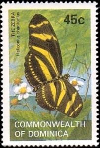 Zebra Longwing Butterfly (Heliconius charithonia)