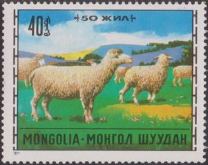 Domestic Sheep (Ovis aries)