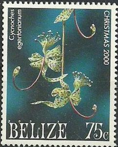 Stamp Cycnoches egertonianum (Belize) (Christmas 2000) MiBZ 1244,Sn