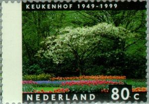 Keukenhof in Spring