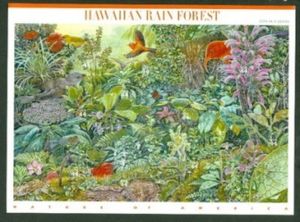 Hawaiian Rain Forest