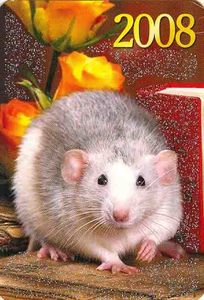Rat Catalog Pocket Calendar: Rat (Russia(Rats) Col:RUS-2008-Rat-002.19 📅