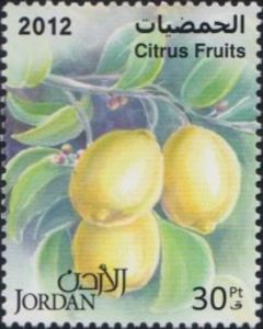 Citrus fruits