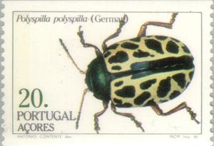 Stamp: Leaf Beetle (Polyspilla polyspilla) (Azores) (Insects of the ...