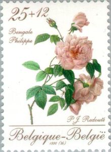 Promotion Philately - Rose "Bengale Philippe"