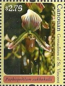 Paphiopedilum sukhakulii
