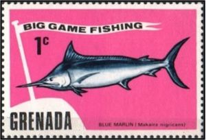 Blue Marlin (Makaira nigricans)