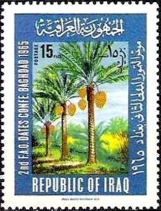 Landscape scene with date palms