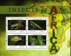 African Insects