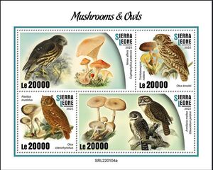 Mushrooms and Owls