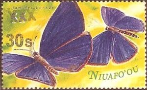 Dark Cerulean (Jamides bochus)