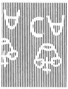 Black-chinned Siskin (Spinus barbatus)