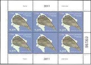 Noble Pen Shell (Pinna nobilis)