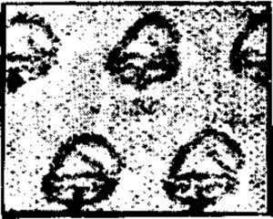 Definitive with red overprint