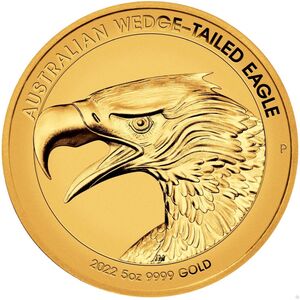 500 Dollars (Australian Wedge-tailed Eagle)
