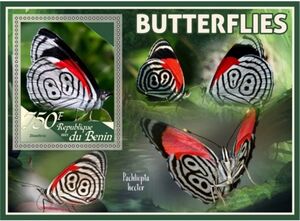 Butterflies