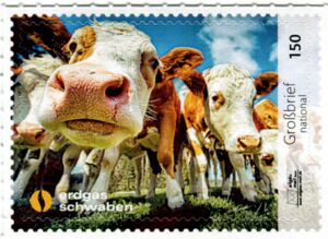 Ab in die Natur 2019