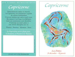 Pocket Zodiac - CAPRICORNE (Capricorn) – Mini Astrology Token Or Charm - View #10