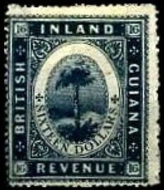 Maripa palm tree (Attalea maripa)