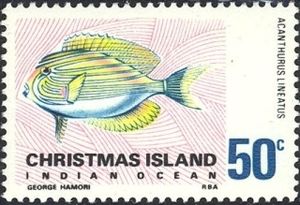 Lined Surgeonfish (Acanthurus lineatus)