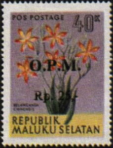 Belamcanda Chinensis