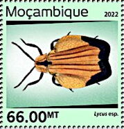 Lycus Insect Idea Stamp: Lycus sp. (Mozambique(Insects of Mozambique (2022)) Col:MZ 2022. ...
