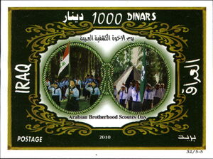 Girls hoist Iraqi flag, boys hoist scout flag