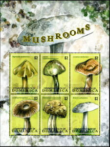Mushrooms