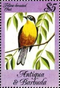 Yellow-breasted Chat (Icteria virens)
