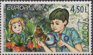 Scouts Studying Butterflies