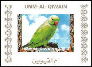 Rose-ringed Parakeet (Psittacula krameri)