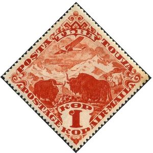 Airplane and Yak (Bos mutus)