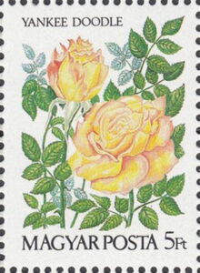 AMERIPEX '86, Chicago, Rose “Yankee Doodle”