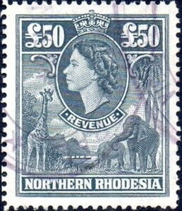 Queen Elizabeth II and animals