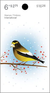 Evening Grosbeak