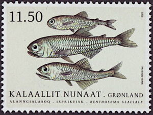 Stamp: Glacier Lantern Fish (Benthosema glaciale) (Greenland(Fish In