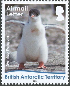 Stamp: Gentoo Penguin (Pygoscelis papua) - chick (British Antarctic