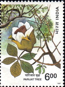 Parijati Flower