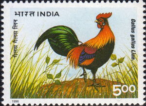 20th World Poultry Congress