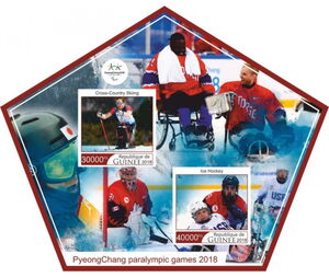 Paralympic Games in PyeongChang in 2018