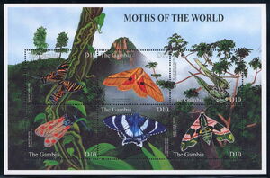 Moths of the world
