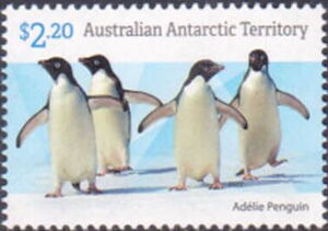 Four Adélie Penguins (Pygoscelis adeliae)