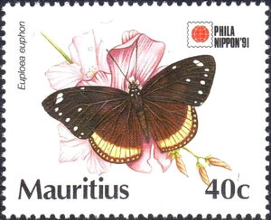 Mascarene Crow (Euploea euphon)