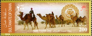 Dromedary (Camelus dromedarius) - Caravan