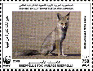 Rüppell's Fox (Vulpes rueppellii)