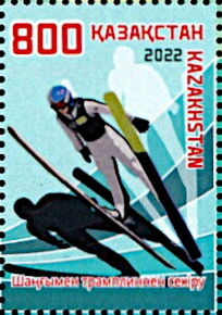 Ski Jumping